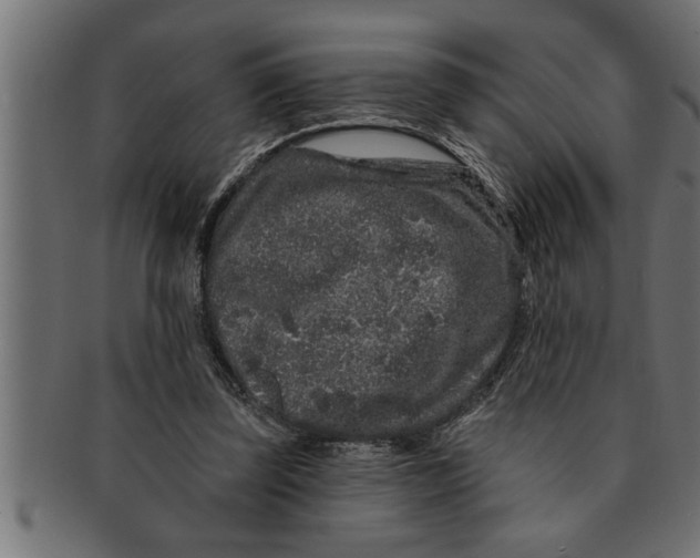 X0000091670347200709201224