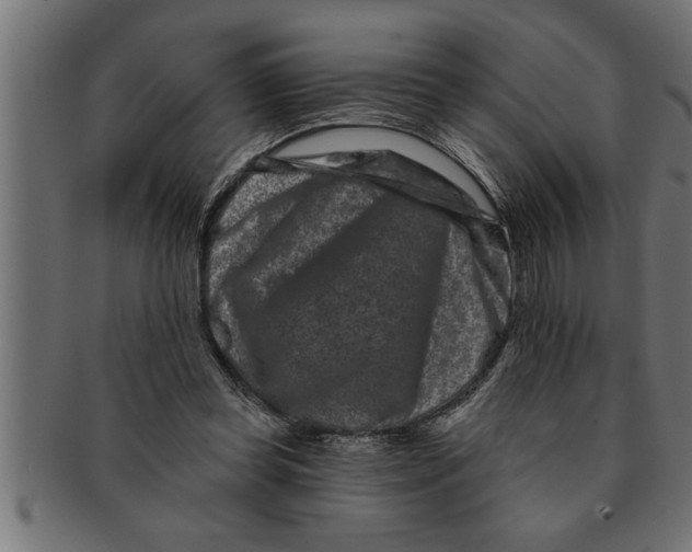 X0000091670349200709201224