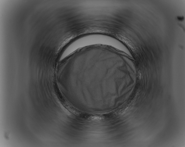 X0000091670352200709201224