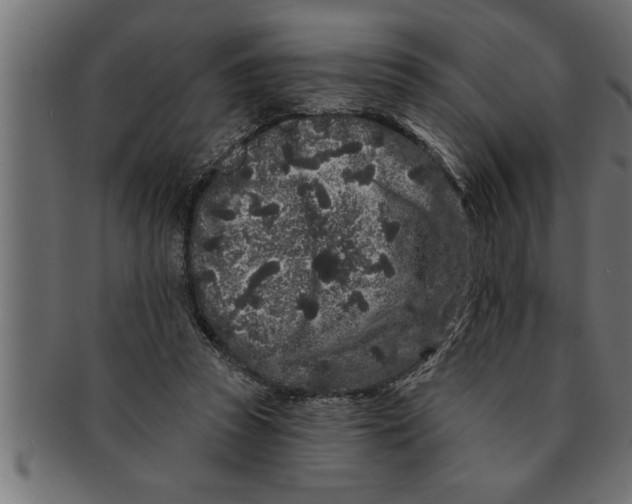 X0000091670353200709201224