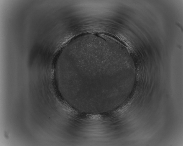 X0000091670355200709201224