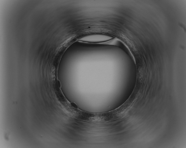 X0000091670356200709201224