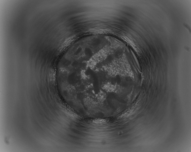 X0000091670357200709201224