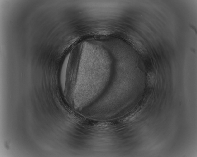 X0000091670358200709201224