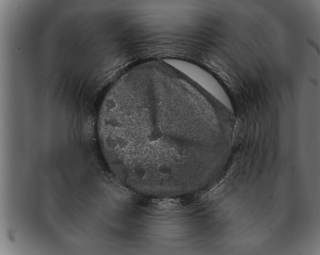 X0000091670359200709201224