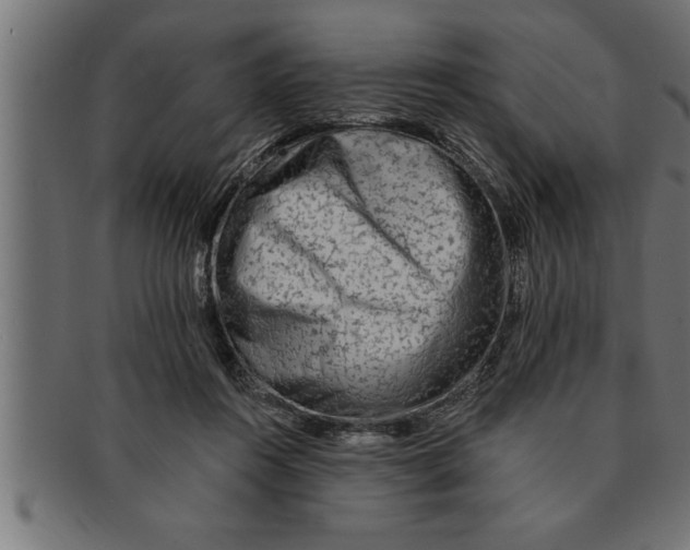 X0000091670360200709201224