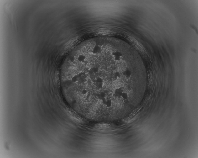 X0000091670361200709201224