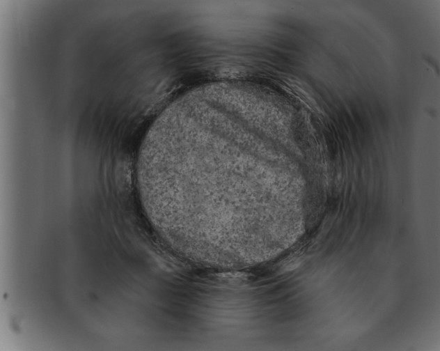 X0000091670363200709201224