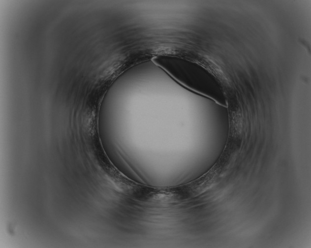 X0000091670364200709201224