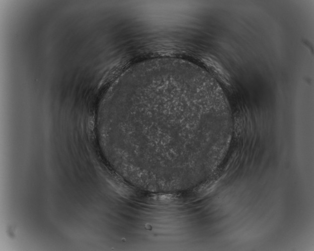 X0000091670365200709201224