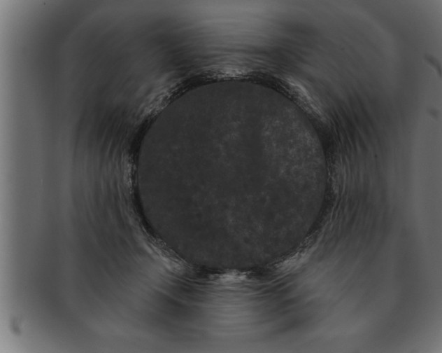 X0000091670366200709201224