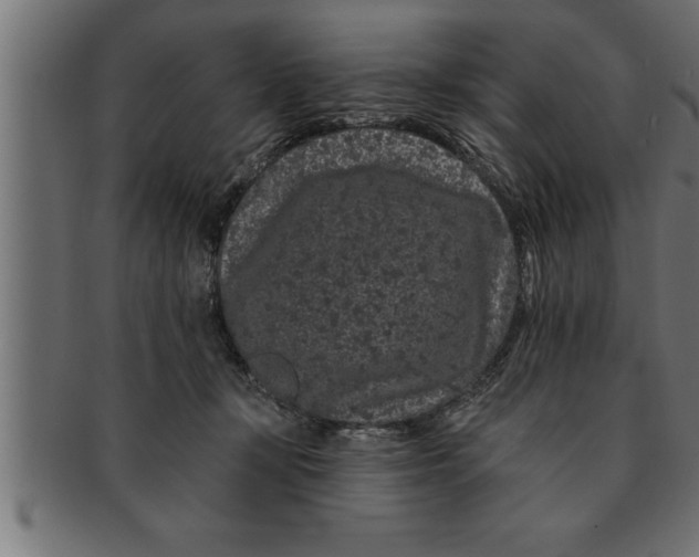 X0000091670367200709201224