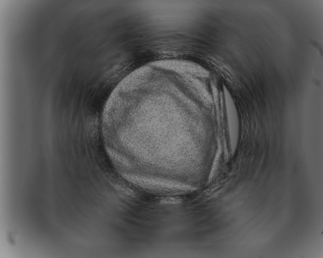 X0000091670369200709201224