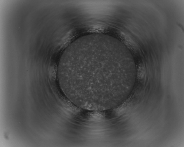 X0000091670370200709201224