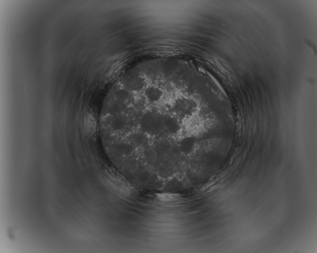 X0000091670371200709201224