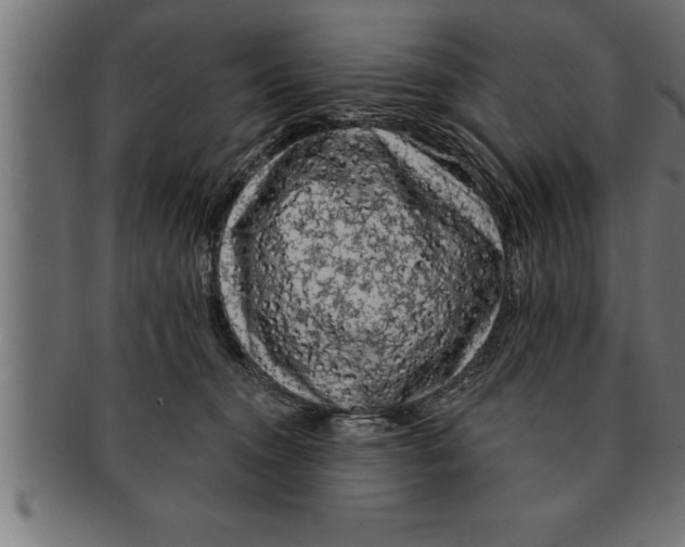 X0000091670372200709201224