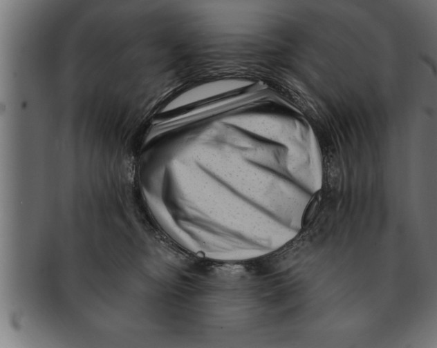 X0000091670374200709201224