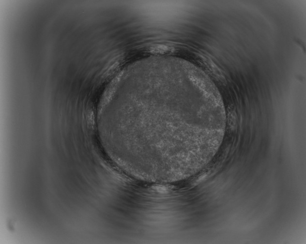 X0000091670375200709201224