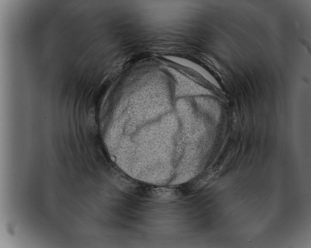 X0000091670377200709201224