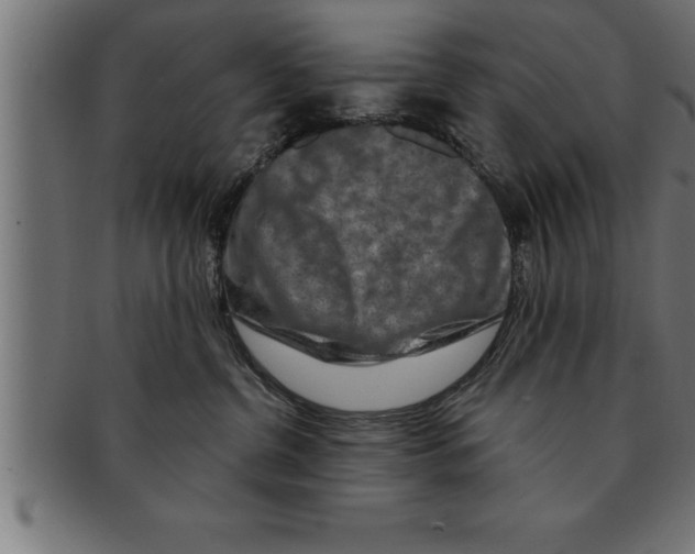 X0000091670380200709201224