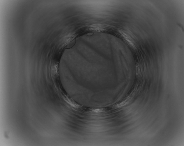 X0000091670382200709201224