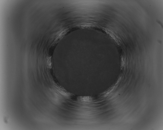 X0000091670383200709201224