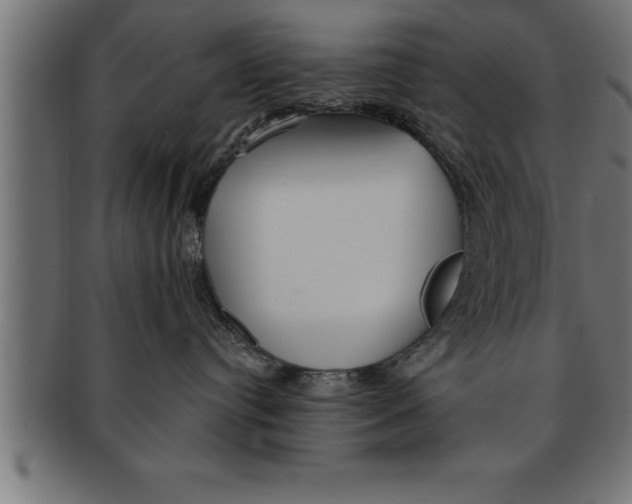 X0000091670384200709201224