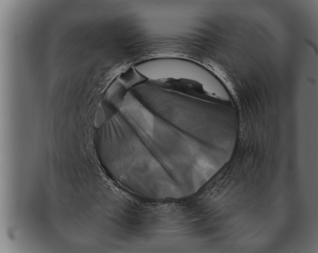 X0000091670385200709201224