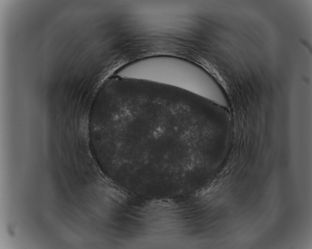 X0000091670386200709201224