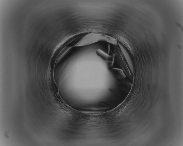 X0000091670388200709201224