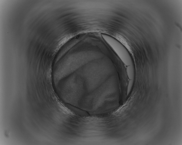 X0000091670389200709201224