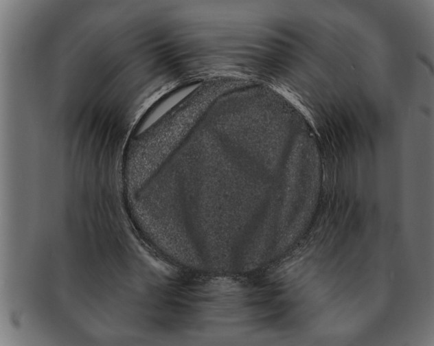 X0000091670390200709201224