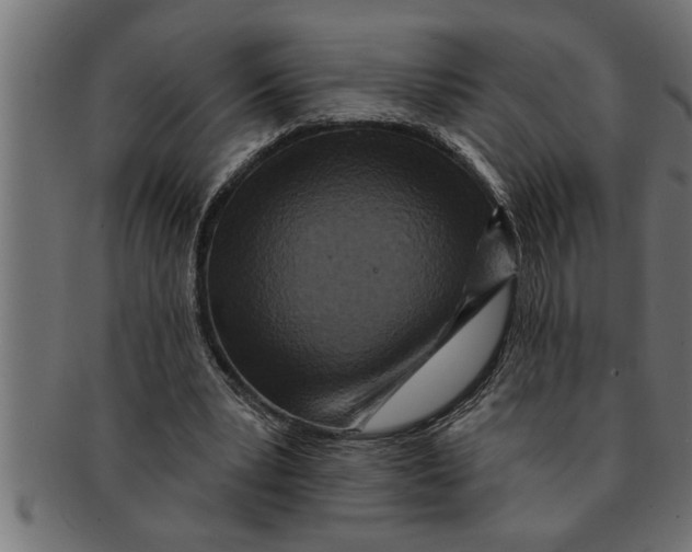 X0000091670391200709201224