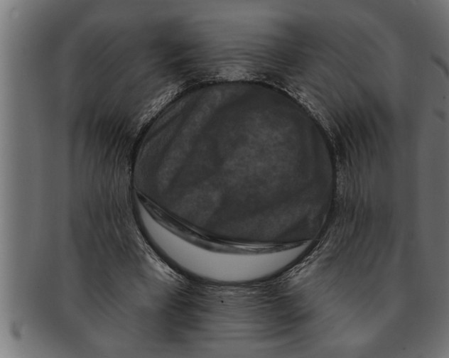 X0000091670393200709201224