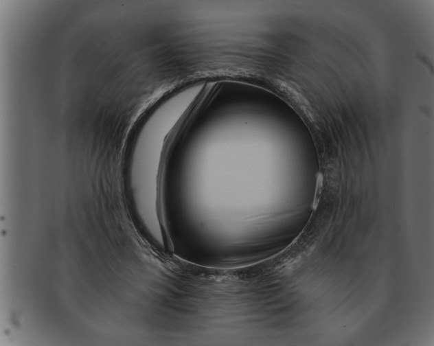 X0000091670395200709201223