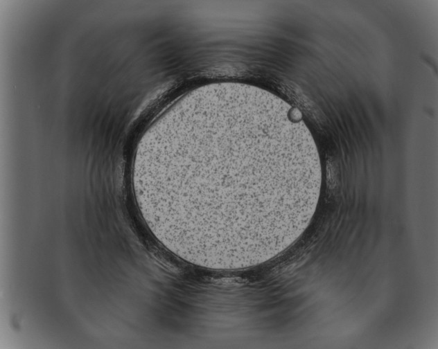 X0000091670396200709201223