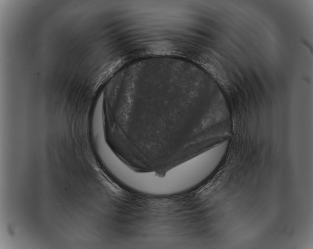 X0000091670397200709201223