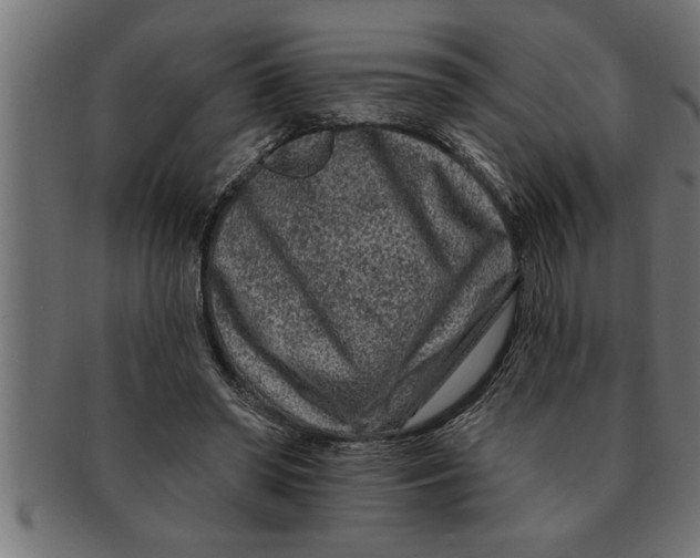 X0000091670398200709201223