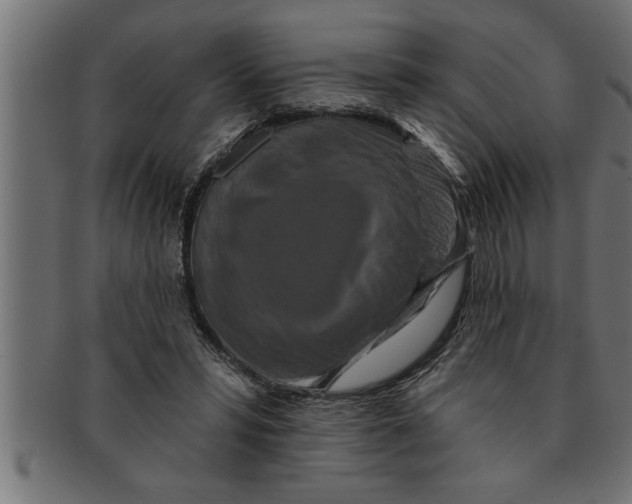 X0000091670399200709201223