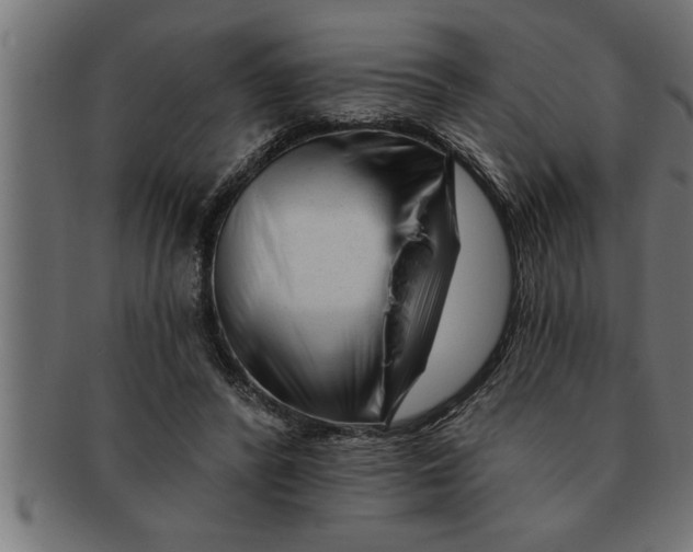 X0000091670400200709201223