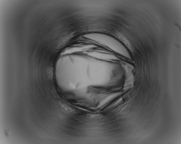 X0000091670401200709201223