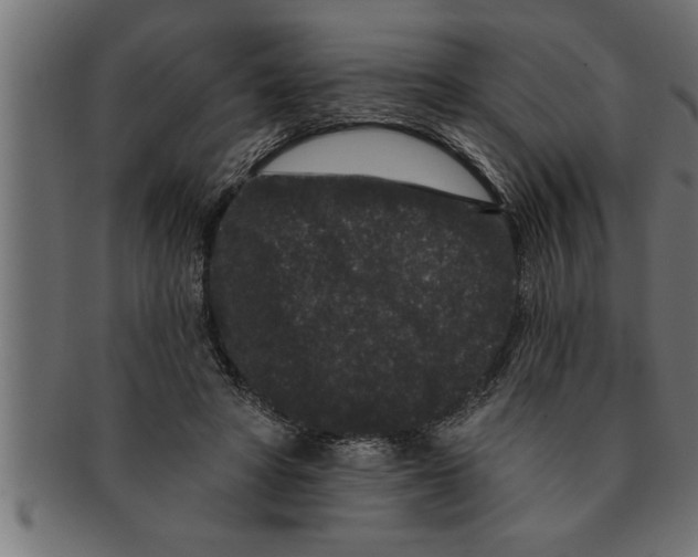 X0000091670402200709201223