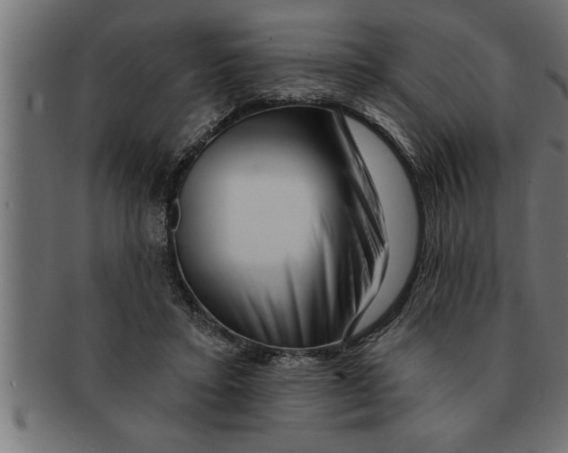 X0000091670403200709201223