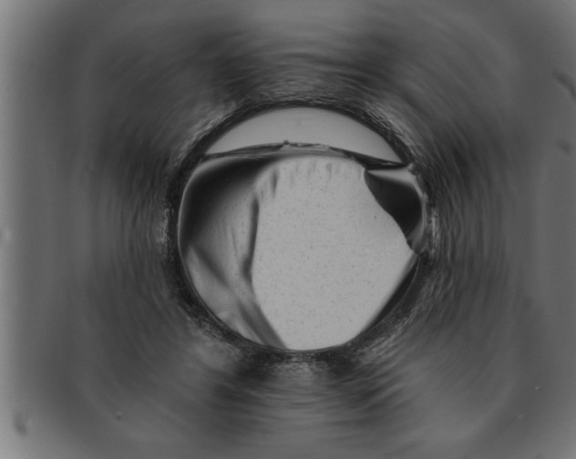 X0000091670404200709201223