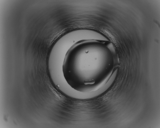 X0000091670405200709201223