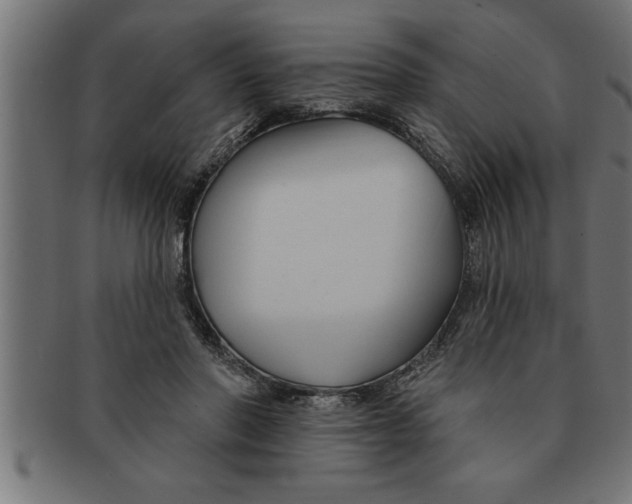 X0000091670406200709201223