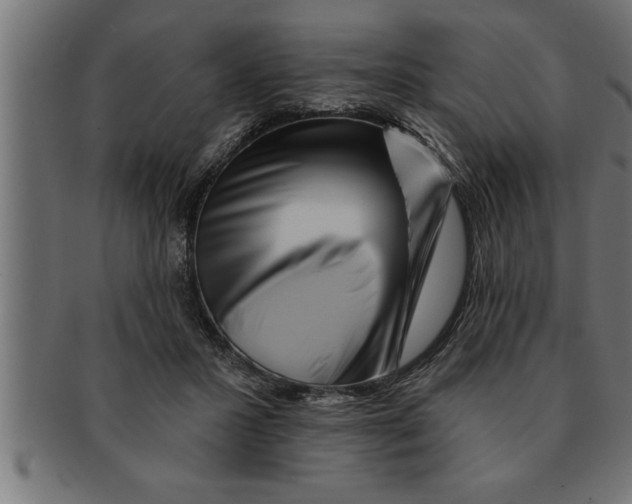 X0000091670407200709201223