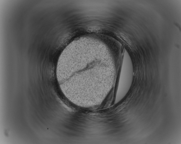 X0000091670408200709201223