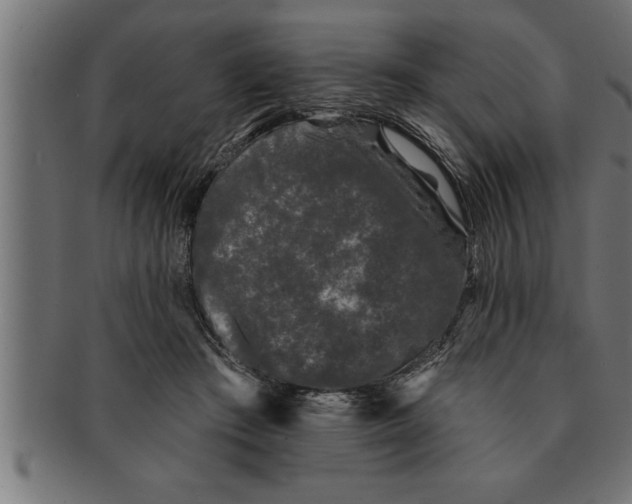 X0000091670409200709201223