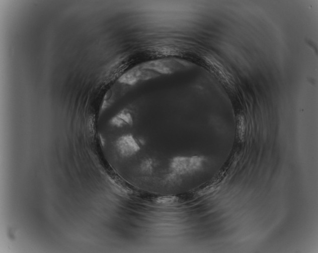 X0000091670410200709201223